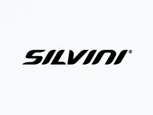 SILVINI